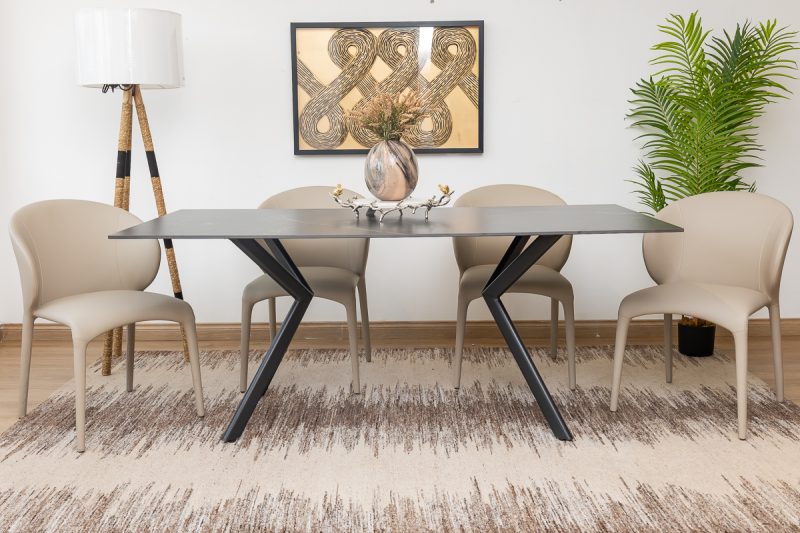 leena dining table + 6 finley chairs