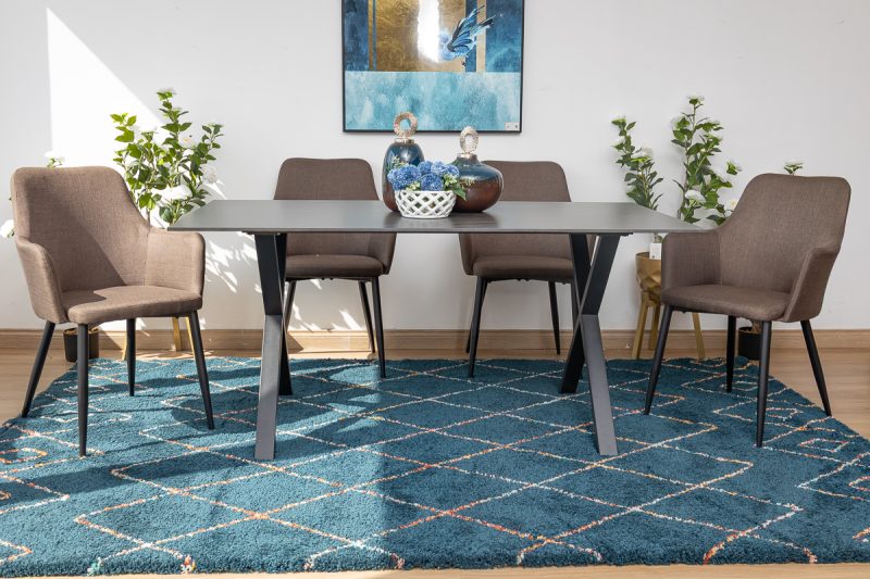 rina dining table + 6 rum chairs